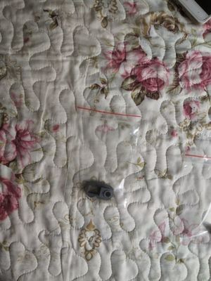 A032742-01 A032742 A229355 A236108 Ống lót áp suất cho Noritsu QSS 27/29/30/31/32/33/35/37 Minilabs nhà cung cấp