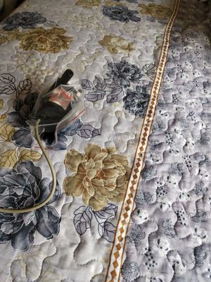 I012095 00 I012095 Noritsu V30 Minilab Spare Part PDD 2 DC24 VOLT MAGNET PUMP nhà cung cấp