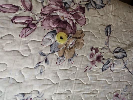 A058613 01 MÁY LĂN KHỬ MÙI O CẮT RĂNG 24 CHO NORITSU Qss2901 3101 3201 3300 3401.3701 Minilab nhà cung cấp