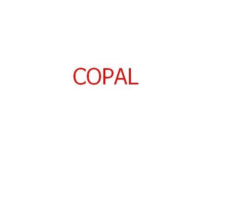 bộ lọc hóa chất cho Copal 6030/6550 minilab 140x22x35mm nhà cung cấp
