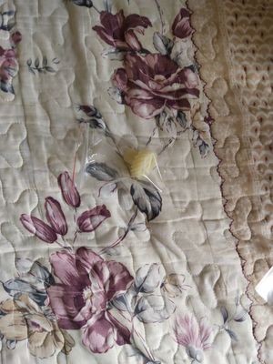 3550 02625A 355002625A 3550 02625 355002625 Konica R1 Minilab Spare Part Driver Gear nhà cung cấp