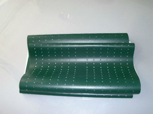 Poli Laserlab 3049 Digital Minilab Part Green Belt nhà cung cấp